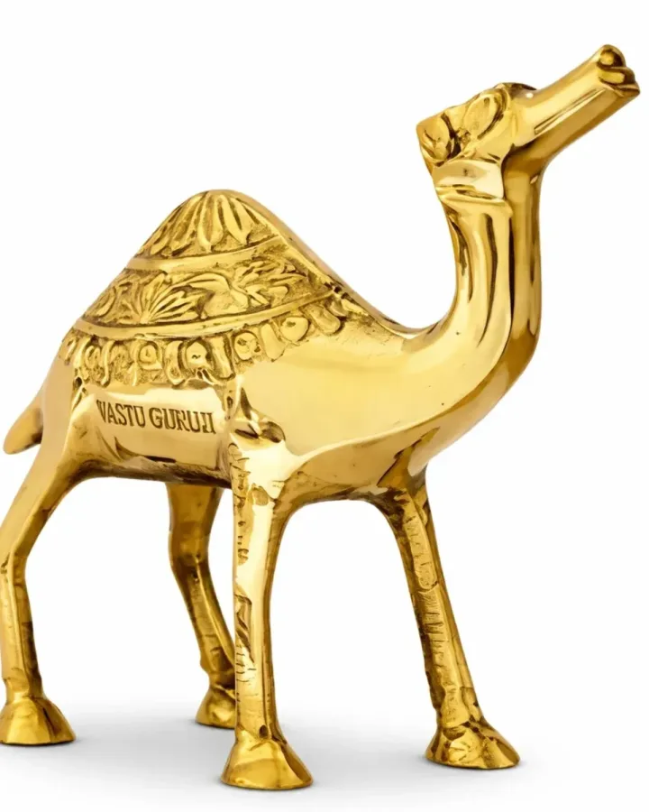 Camel