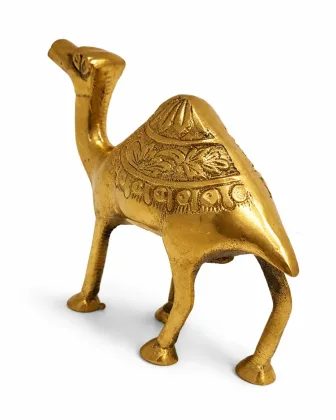 Camel for Positive Energy and Prosperity, as per Vastu guidance - Vastuguruji
