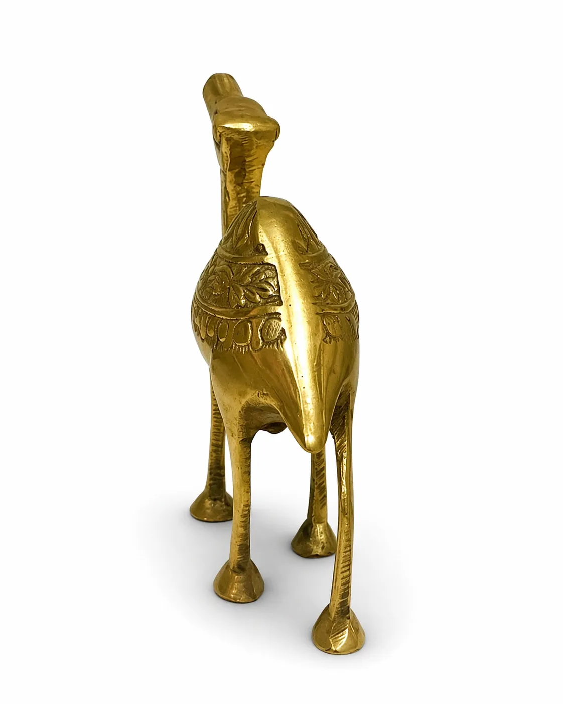 Camel