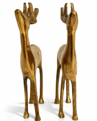 DEER for Positive Energy and Prosperity, as per Vastu guidance - Vastuguruji