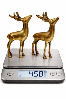 DEER for Positive Energy and Prosperity, as per Vastu guidance - Vastuguruji
