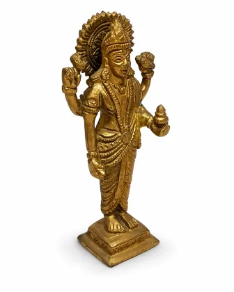 Dhanvantari Small for Positive Energy and Prosperity, as per Vastu guidance - Vastuguruji