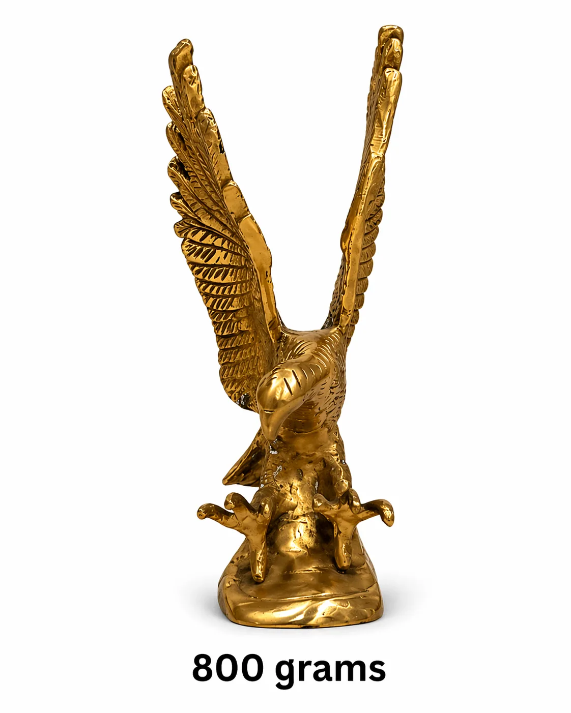 Eagle (The Garuda)