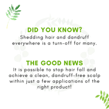 Hair Oil 50ml media 5