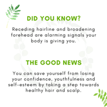 Hair Oil 50ml media 7