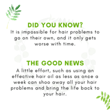 Hair Oil 50ml media 9