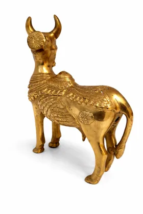 kamDheNu cow 1.5Kg for Positive Energy and Prosperity, as per Vastu guidance - Vastuguruji
