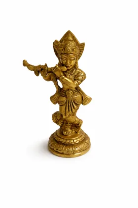 Krishna for Positive Energy and Prosperity, as per Vastu guidance - Vastuguruji