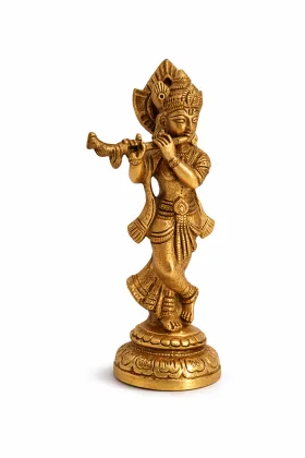Krishna for Positive Energy and Prosperity, as per Vastu guidance - Vastuguruji