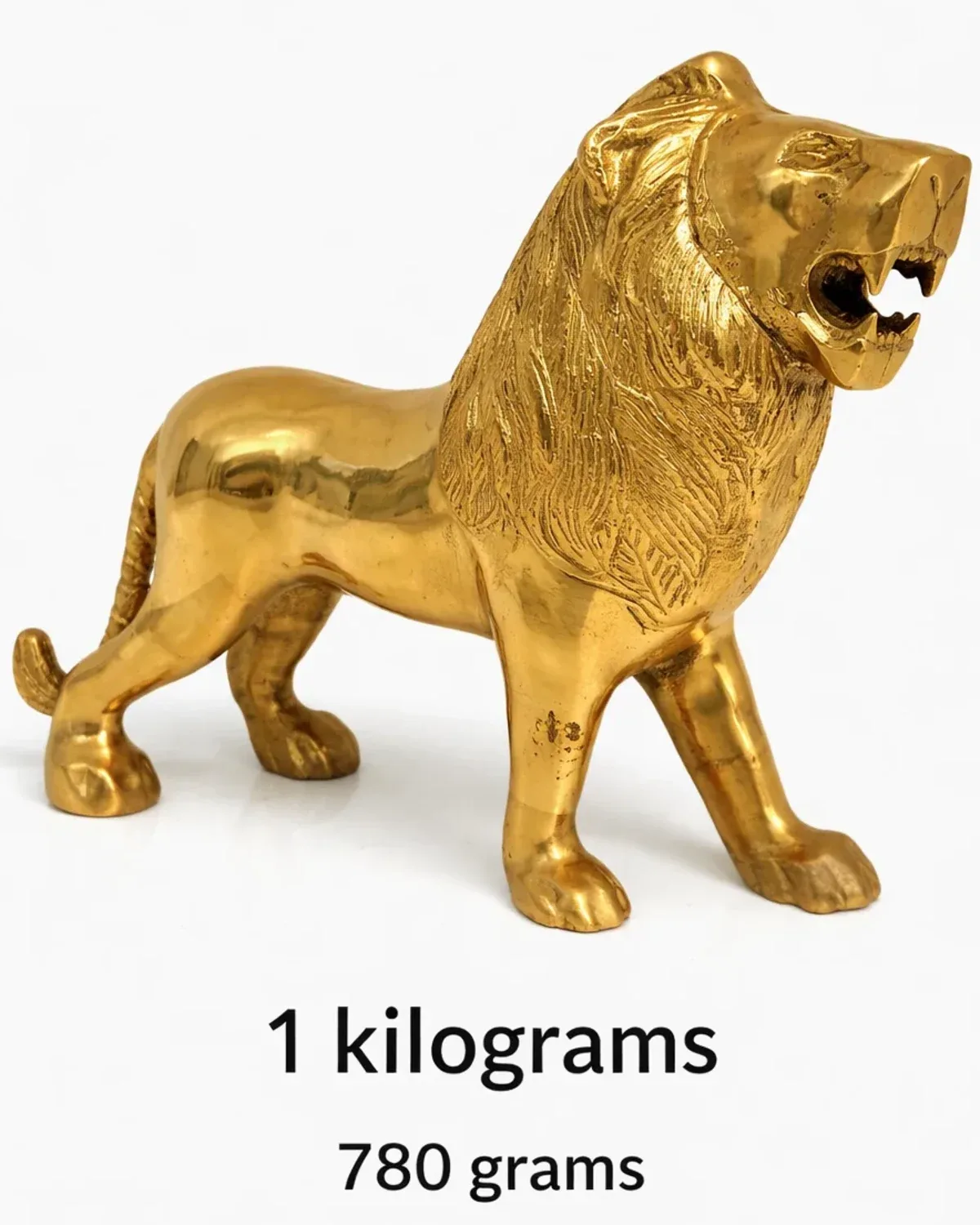 Lion For Power 1.8kg