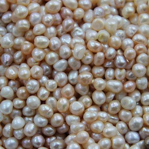 Moti For North 6 (Bhujang) vastu correction tool for mapped directional implementation