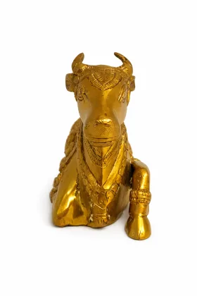 NaNDi Bull for Positive Energy and Prosperity, as per Vastu guidance - Vastuguruji