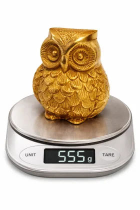 Brass Owl Idol Profile View — Sharp Beak and Bright Eyes, Symbol of Wisdom (VastuGuruji)