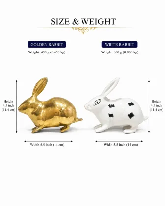Rabbit Pair (Khargosh Jodi) Vastu Idol for Positive Energy and Prosperity - Vastuguruji