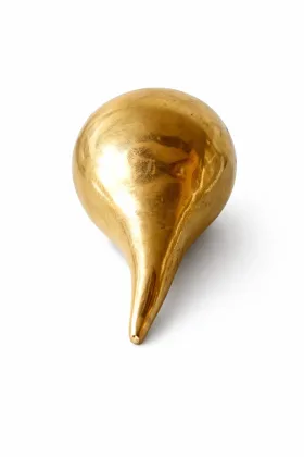 Brass Shankh (1.28 KG - Medium Size) for Positive Energy and Prosperity, as per Vastu guidance - Vastuguruji #1