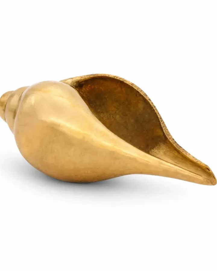 Shankh