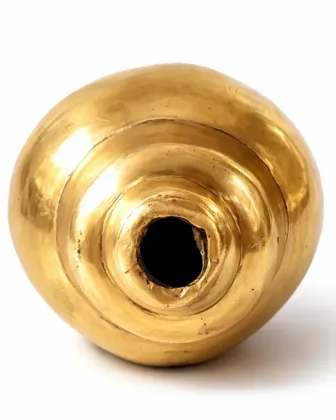 Shankh for Positive Energy and Prosperity, as per Vastu guidance - Vastuguruji
