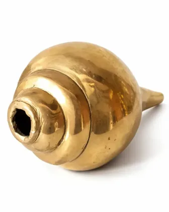 Shankh for Positive Energy and Prosperity, as per Vastu guidance - Vastuguruji