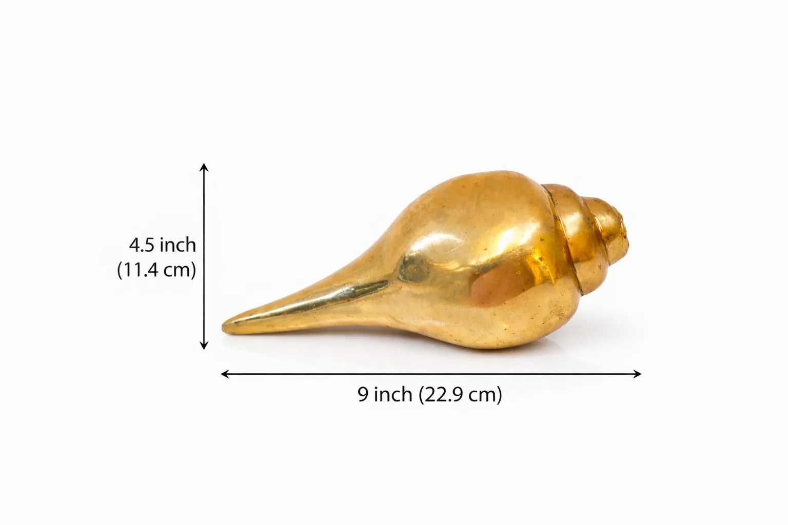 Brass Shankh (Vastu Shankh / Conch)