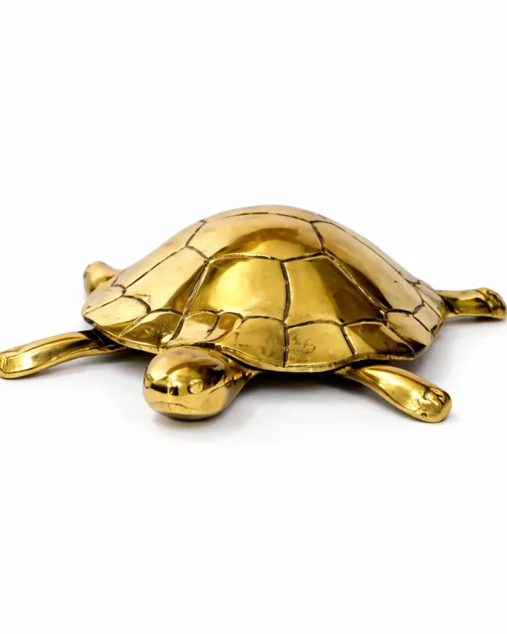 Tortoise