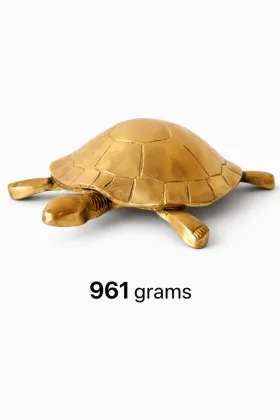 Tortoise for Positive Energy and Prosperity, as per Vastu guidance - Vastuguruji