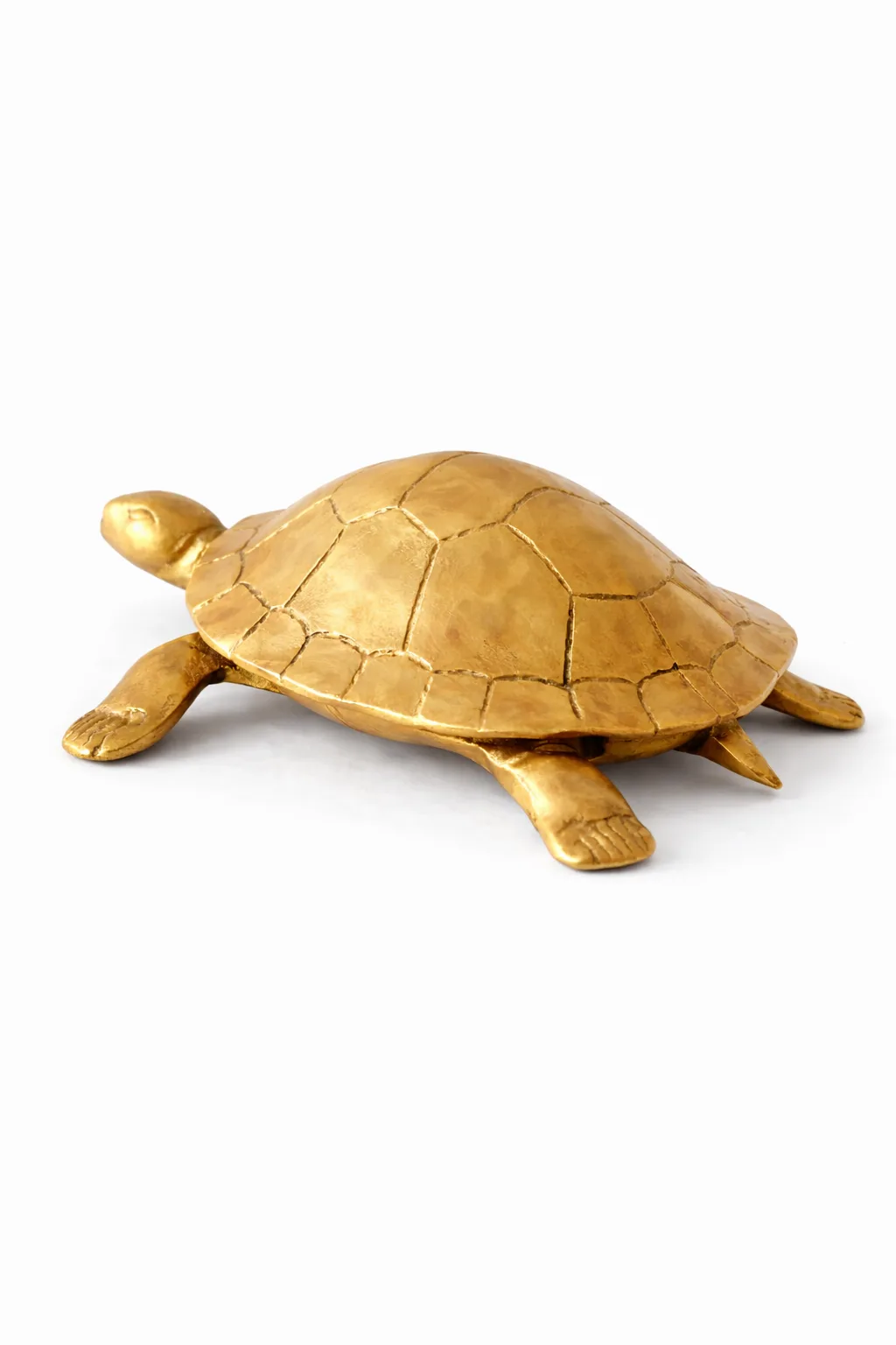 Tortoise