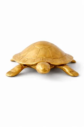 Tortoise for Positive Energy and Prosperity, as per Vastu guidance - Vastuguruji