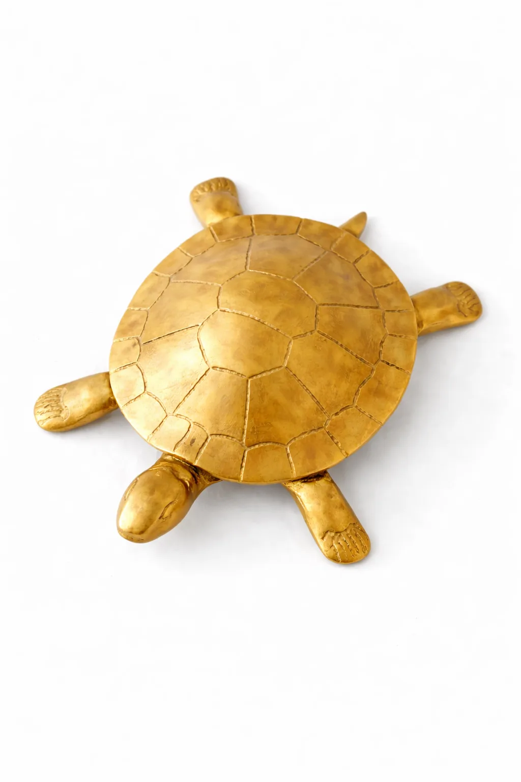 Tortoise