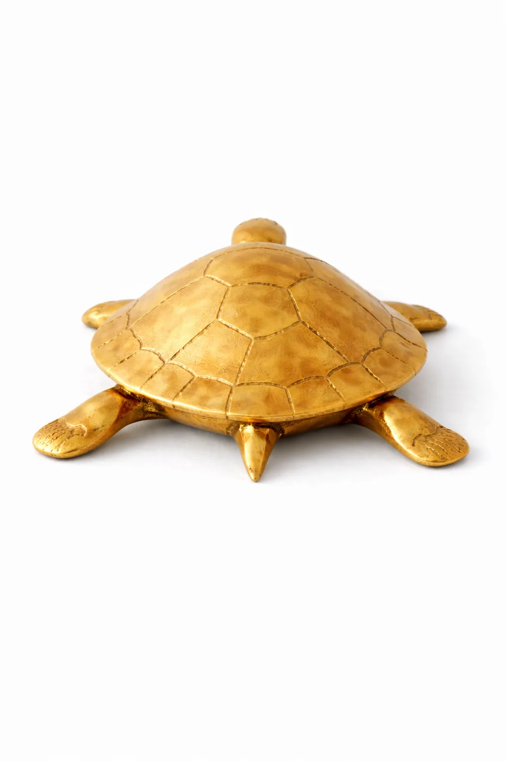 Tortoise