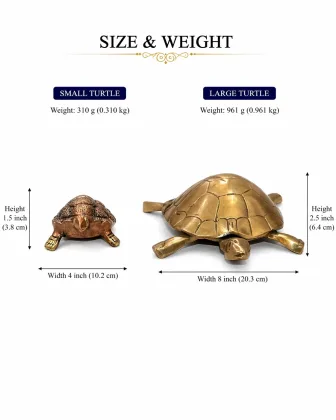 Tortoise for Positive Energy and Prosperity - Vastuguruji