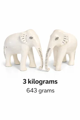 White Elephant Pair for Positive Energy and Prosperity, as per Vastu guidance - Vastuguruji