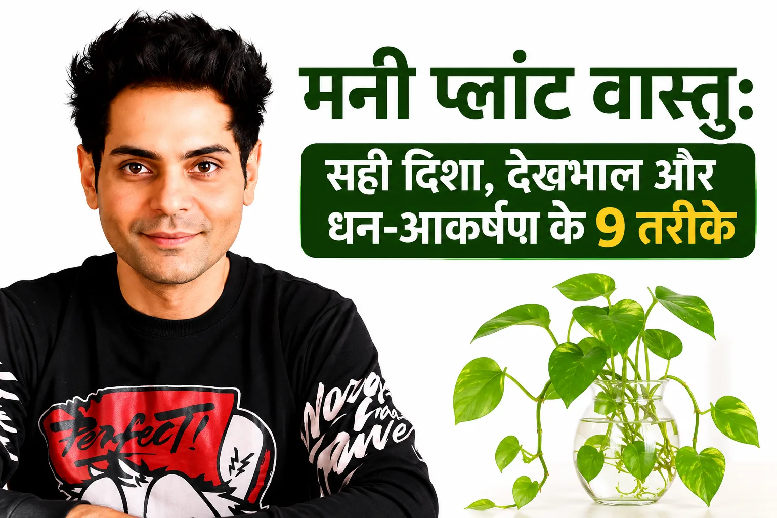 मनी प्लांट वास्तु: 7 Premium Wealth Solutions — Pratima जी की Boutique Story | VastuGuruji